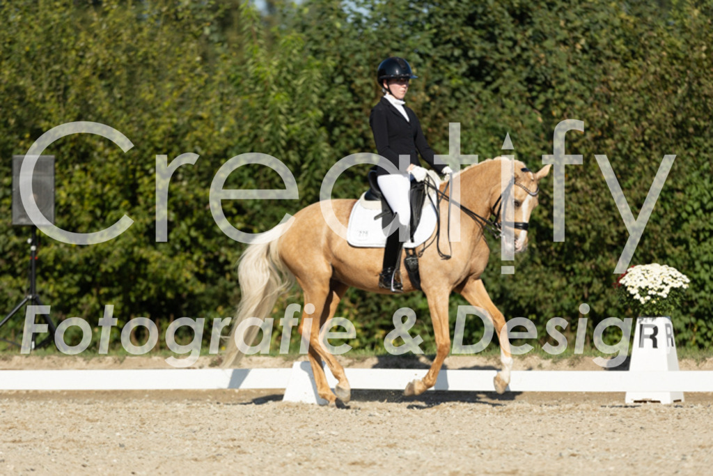 IMG_0962 | Creatify Fotografie