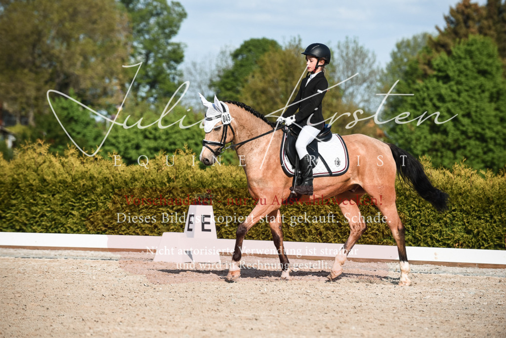 20230518_JK-Röhrsdorf-12-0910 | Pferde- und Turnierfotografie in Westsachsen. Pferdeportraits, Auftragszeichnungen und intuitive Kunst.