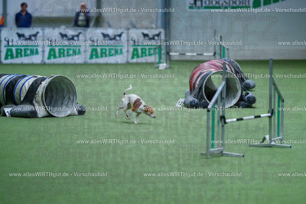 @allesWIRTHgut_Tierfotografie - www.allesWIRTHgut.de - 2604251120-7R500250 | Professionelle Tierfotografie in Mönchengladbach von Daniel Wirth (allesWIRTHgut). Liebevolle & natürliche Bilder von Hunden & Katzen für unvergessliche Erinnerungen.