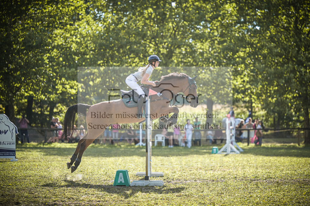 DOS_0152 | Entdecke hochwertige Reitturnierfotos von Foto Oger. Professionell, emotional und authentisch – jetzt Lieblingsmomente im Shop bestellen.Deutschlandweite Turnierfotografie. - Realisiert mit Pictrs.com