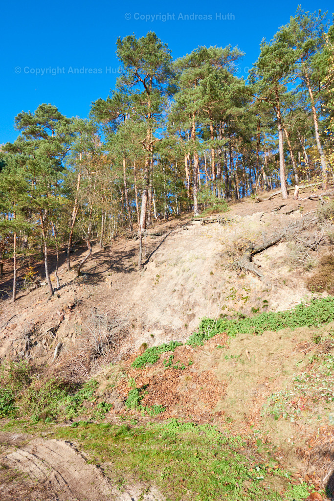 Bergbauspuren in Mohorn-Grund_ Die Weiße Halde 01 | Bedeutsame Landschaften Deutschlands - Realisiert mit Pictrs.com