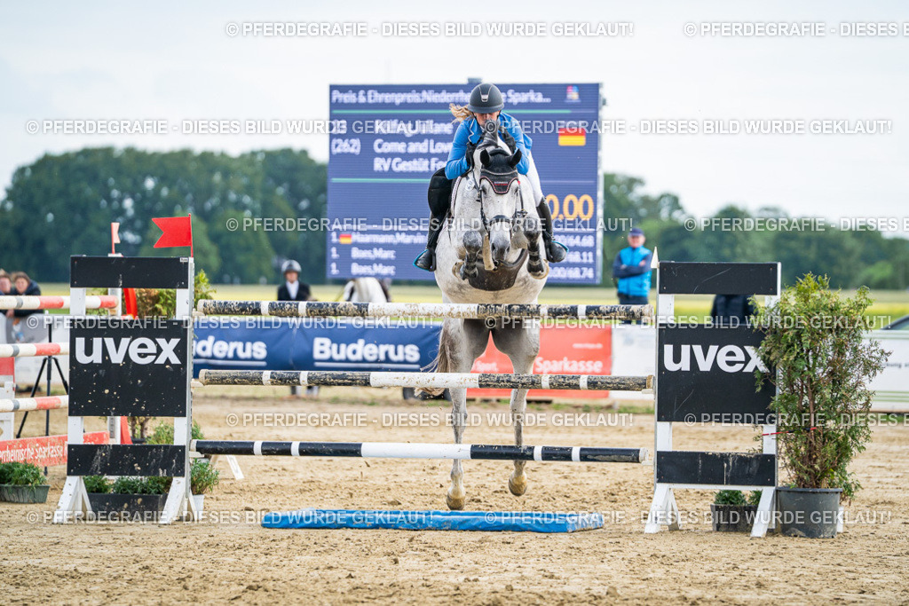 DSC07248 | Pferdegrafie