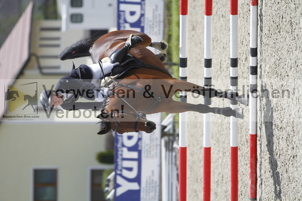_MG_1951 | equestrian-live-com