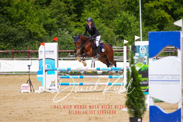 DKP41660 | Turniersportfotografie; Pferdefotografie; Dressurfotografie