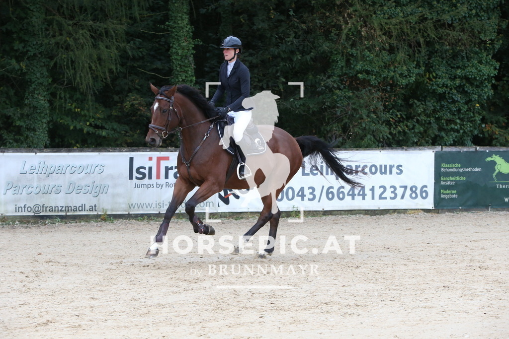 DL2Q0305 | Willkommen bei Brunnmayr - Design & Fotografie – Ihrem Spezialisten für Reitturniere und Pferdeveranstaltungen in Oberösterreich, Salzburg und Bayern! Seit über 17 Jahren sind wir leidenschaftlich dabei.