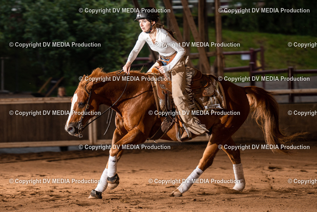 Erbach Tag 3-840 | dv-media-shop - Realisiert mit Pictrs.com