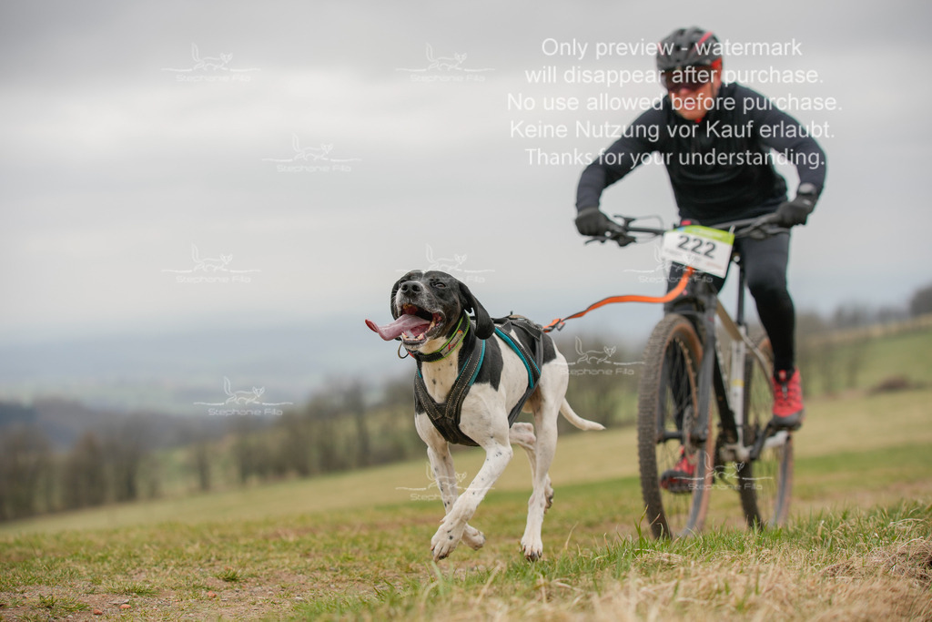 BikeSA-150 | stephaniefillaphotographie - Realisiert mit Pictrs.com