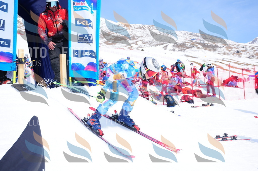 DSC_6480 | holidayphoto