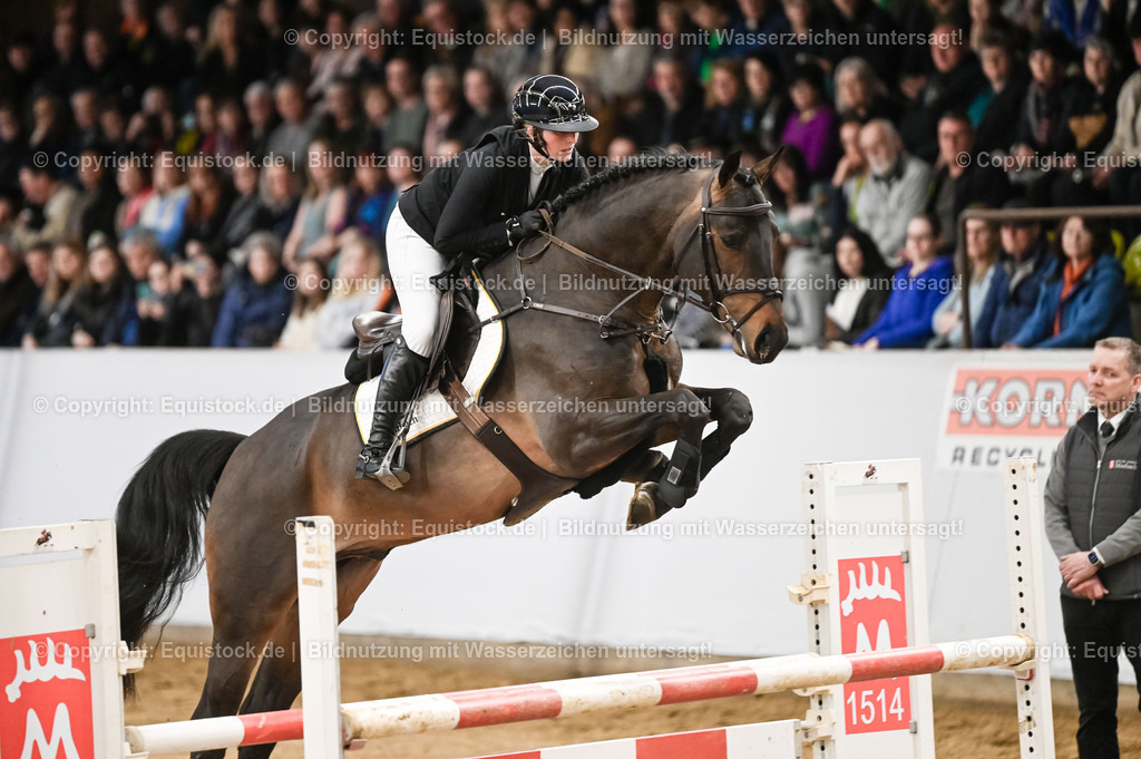 20260307_Hengstvorstellung-Marbach_0127 | equistock