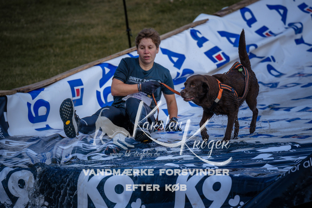 _ZZ971420741 | kk-dogfotos