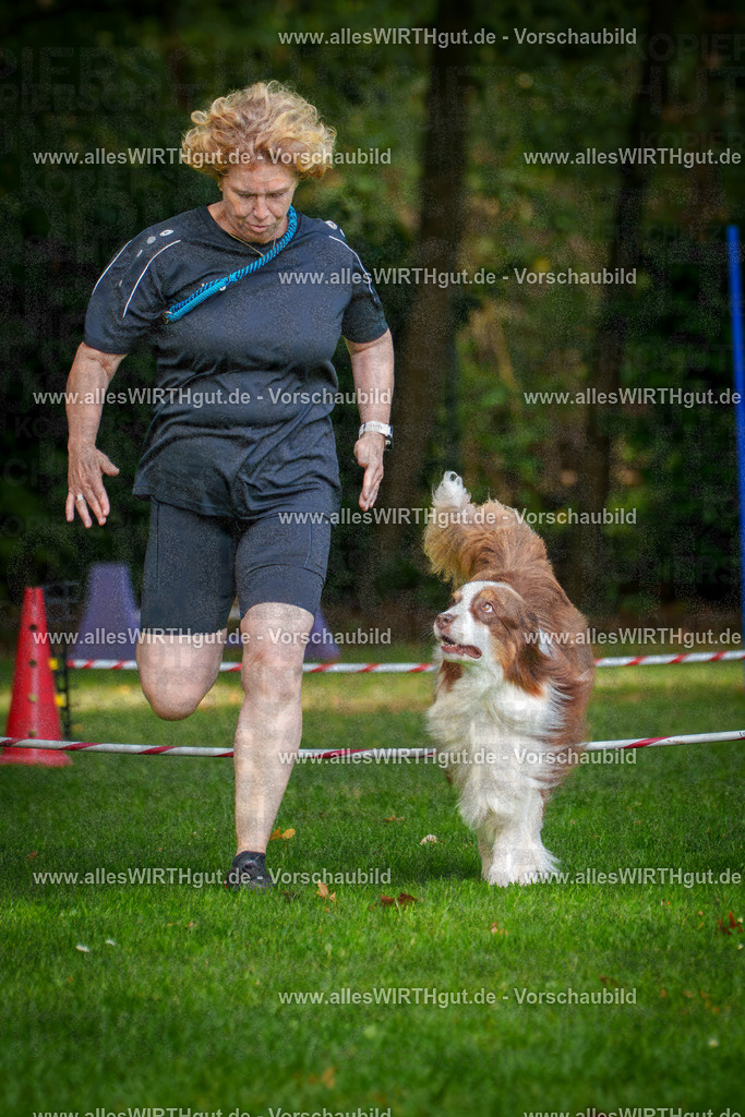 THS_Turnier_27-09-2026-allesWIRTHgut_Tierfotografie-7R506898 | Professionelle Tierfotografie in Mönchengladbach von Daniel Wirth (allesWIRTHgut). Liebevolle & natürliche Bilder von Hunden & Katzen für unvergessliche Erinnerungen.