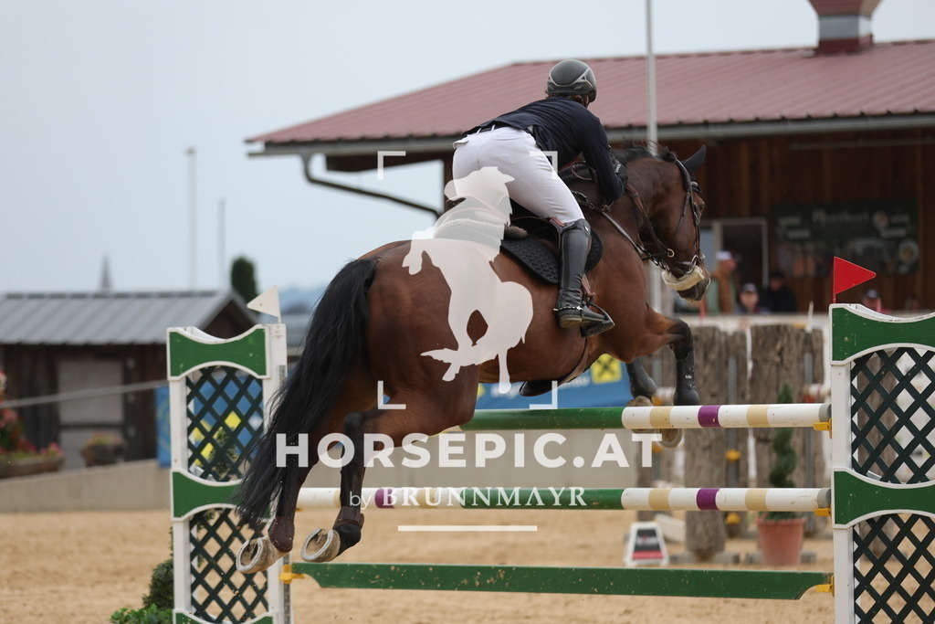 0P6A5570 | Willkommen bei Brunnmayr - Design & Fotografie – Ihrem Spezialisten für Reitturniere und Pferdeveranstaltungen in Oberösterreich, Salzburg und Bayern! Seit über 17 Jahren sind wir leidenschaftlich dabei.