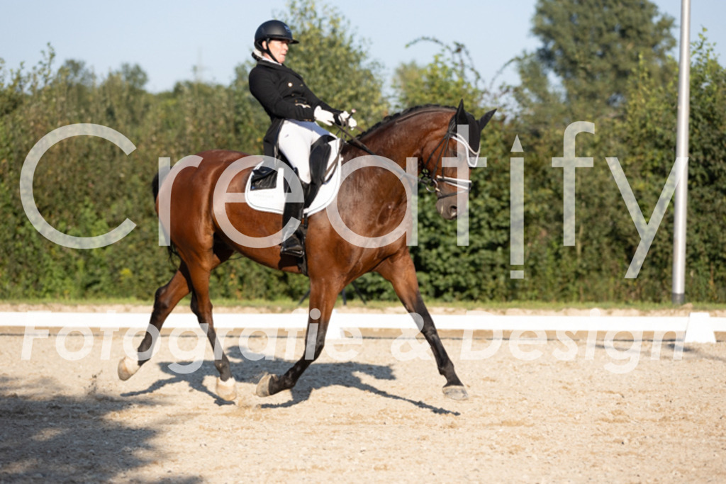 IMG_1247 | Creatify Fotografie