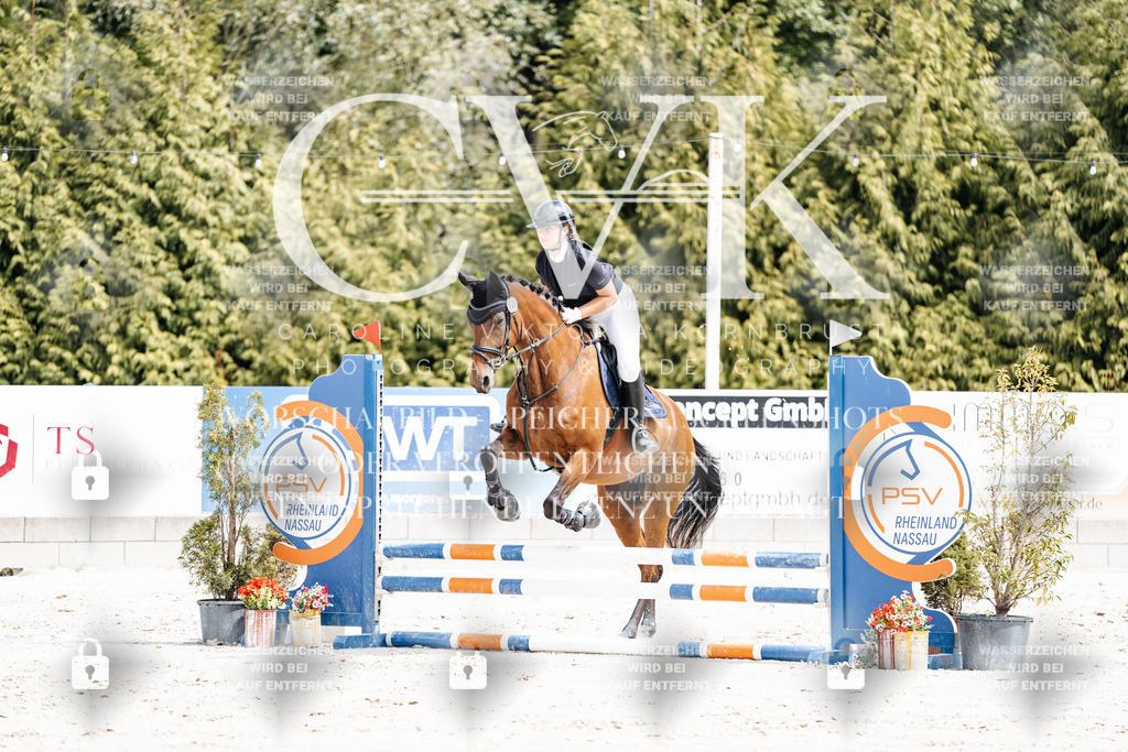 CK906508 | Turnierfotografie Pferdefotografie Trier Rheinland-Pfalz Pferdesport Reitsport Tierfotografie Sportfotografie Pferdevideo Pferdevideografie Equestrianvideography equestrianphotography  - Realisiert mit Pictrs.com