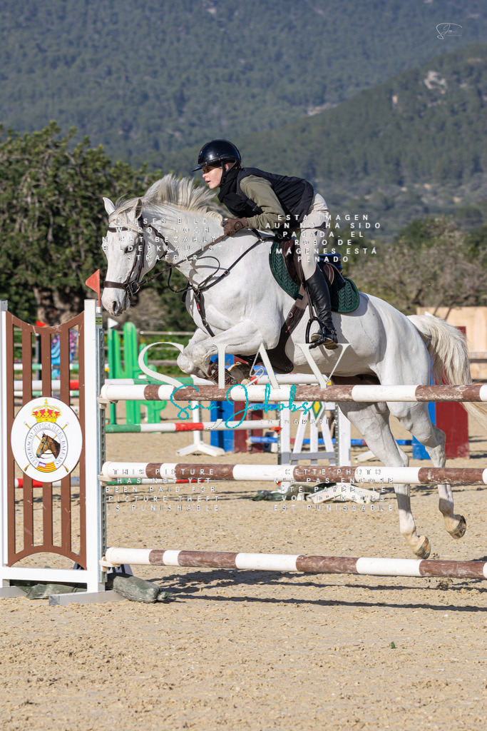 IMG_5730 | s-jay-photography - Realisiert mit Pictrs.com