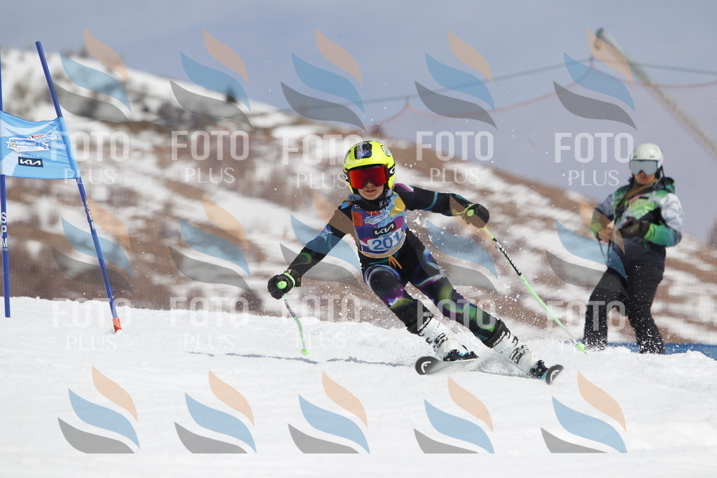 _U3G2055 | holidayphoto