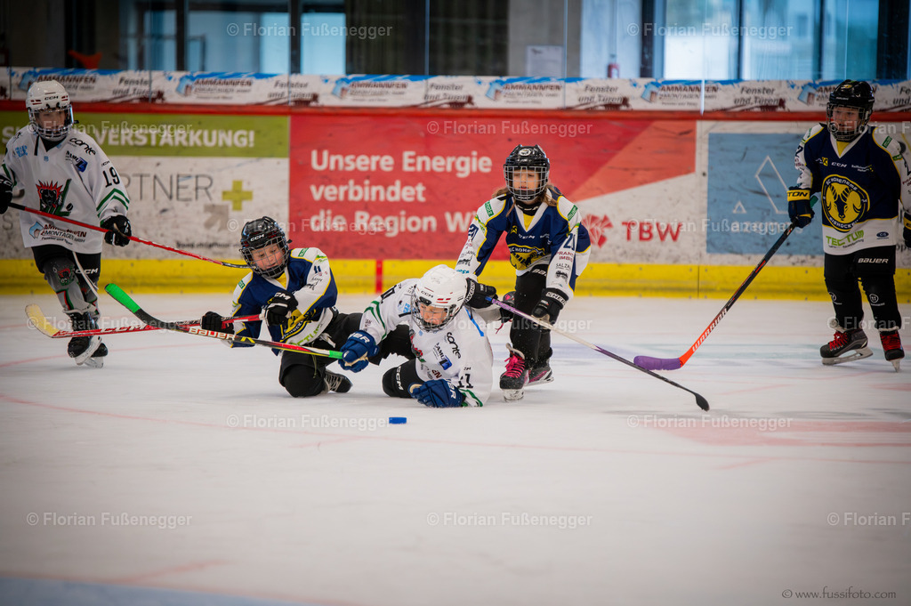 DSC_2180 | "Fussifoto.com – Ihr Ansprechpartner für hochwertige Fotografie! Entdecken Sie kreative Bilder und professionelle Dienstleistungen. Kontaktieren Sie uns für Ihre Projekte!"