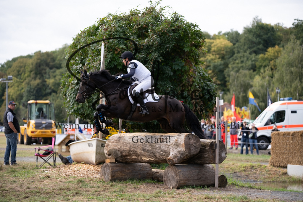 A7V00879 | Pferdefotograf