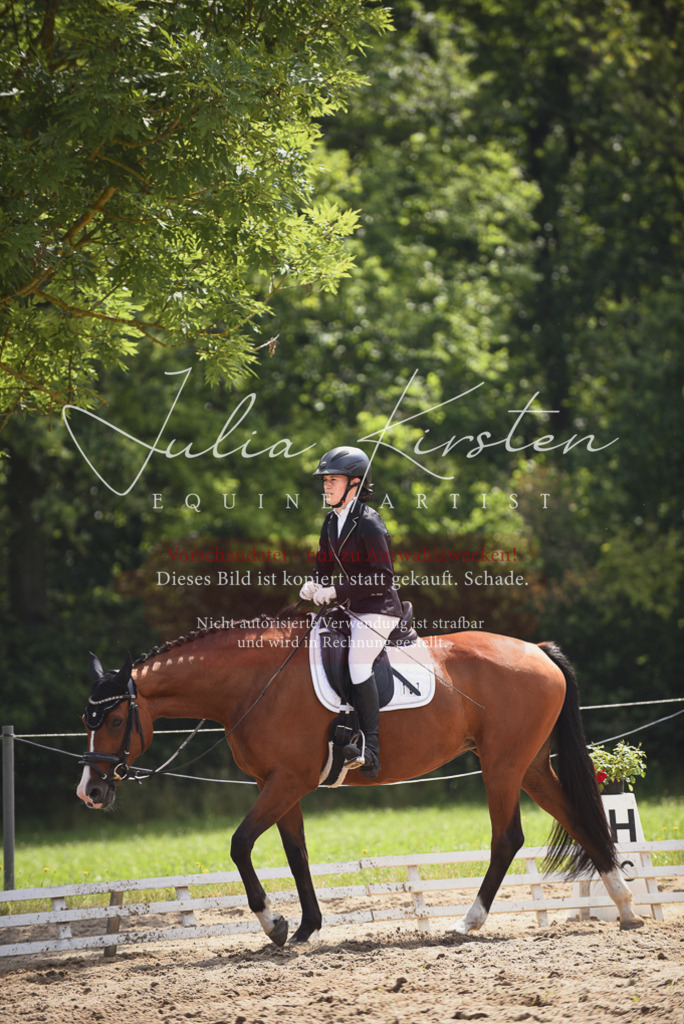 DSC_0932 | Pferde- und Turnierfotografie in Westsachsen. Pferdeportraits, Auftragszeichnungen und intuitive Kunst.