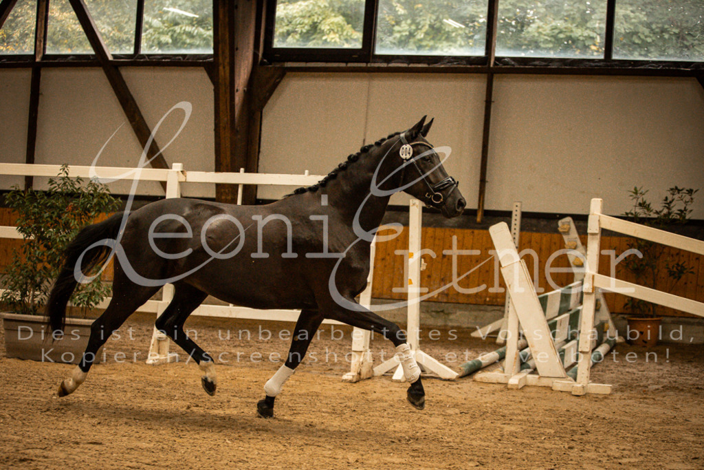 1FS_L00095 | Leoni Ertmer Photography - Realisiert mit Pictrs.com