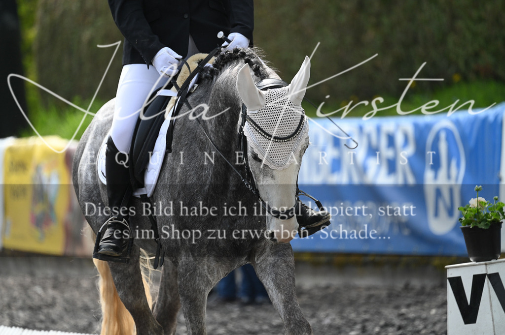 20230512_JK-Röhrsdorf-01-053 | Pferde- und Turnierfotografie in Westsachsen. Pferdeportraits, Auftragszeichnungen und intuitive Kunst.
