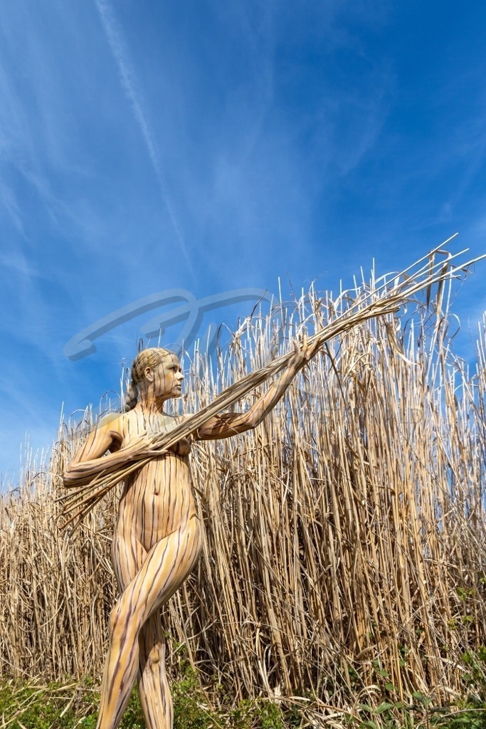NatureArt-SCHILF_5167b | Schilfamazone | #016 | Modell: Tatjana Heinz | Foto: Andreas P. - Realisiert mit Pictrs.com