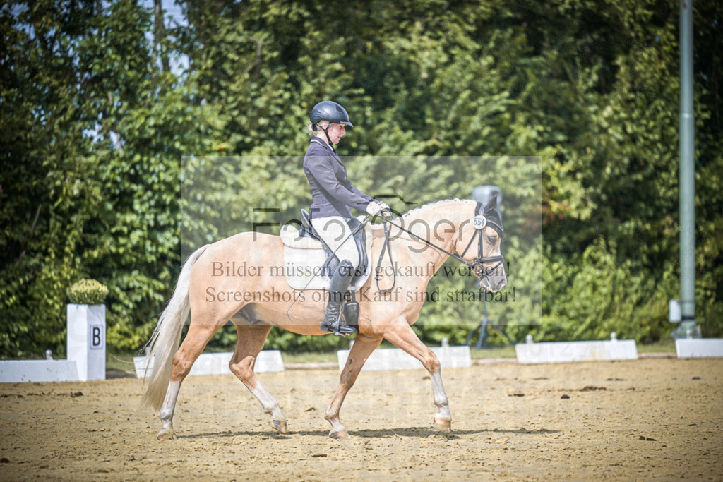 DOS_3965 | Entdecke hochwertige Reitturnierfotos von Foto Oger. Professionell, emotional und authentisch – jetzt Lieblingsmomente im Shop bestellen.Deutschlandweite Turnierfotografie. - Realisiert mit Pictrs.com