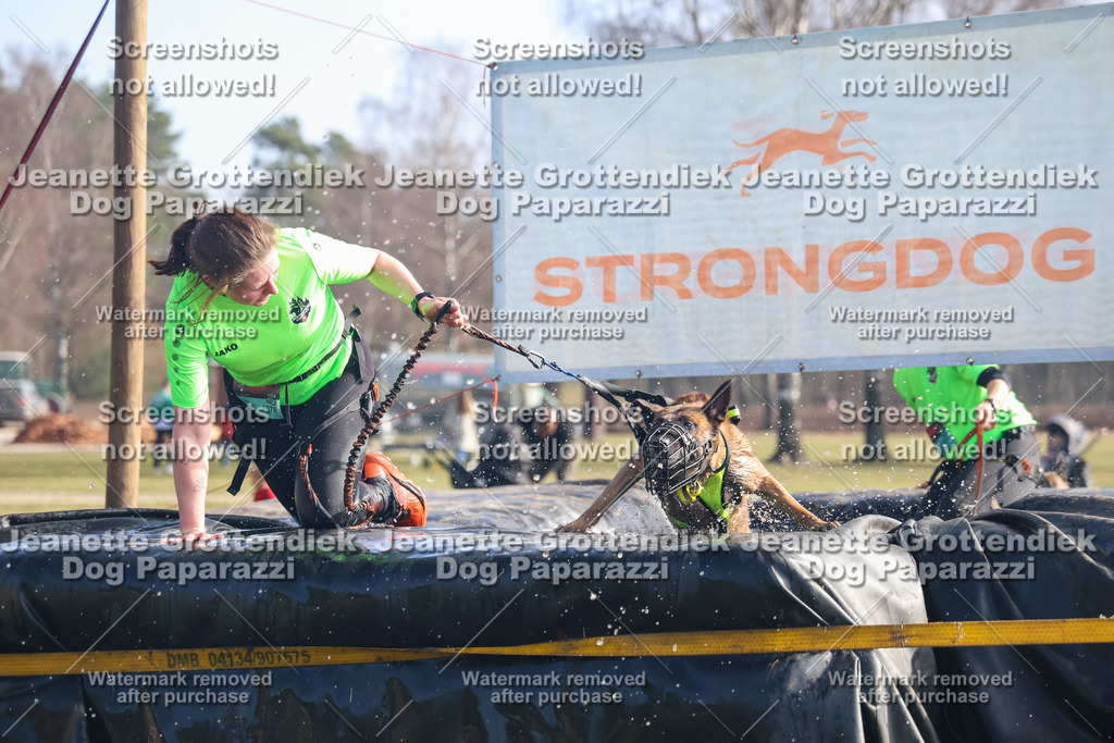 Dog Paparazzi - Strongdog North Mrz26-888 | Dog Paparazzi Jeanette Grottendiek Fotografie & Videografie - Realisiert mit Pictrs.com