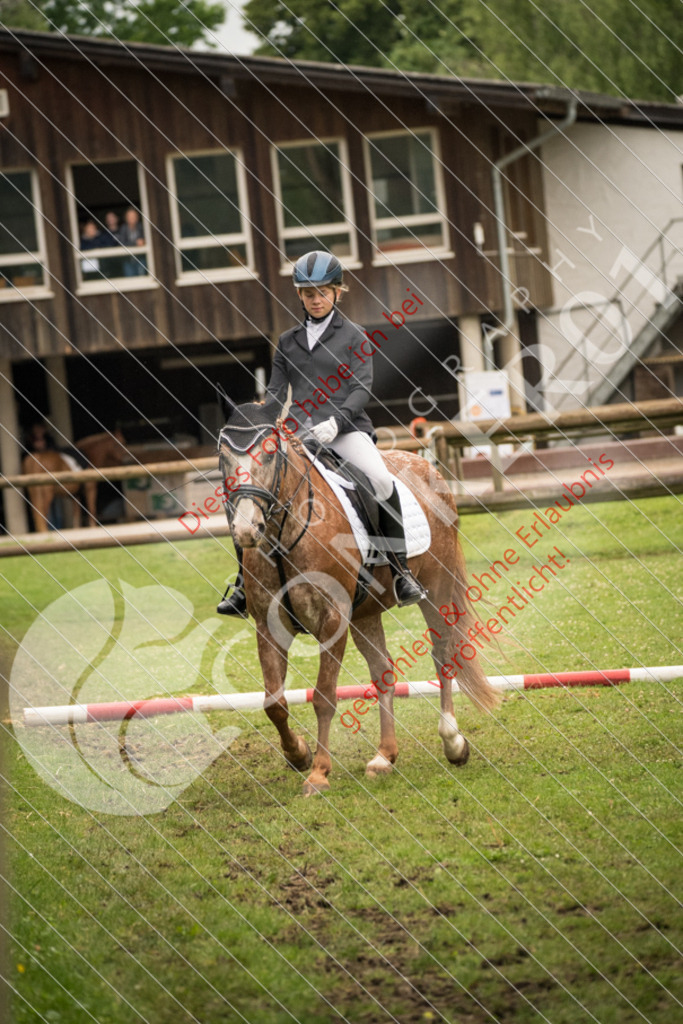 DSC_4778 | Sport-, Event- und Tierfotos in Profiqualität. Einfach auswählen, bestellen und herunterladen. Dein Moment – perfekt festgehalten.