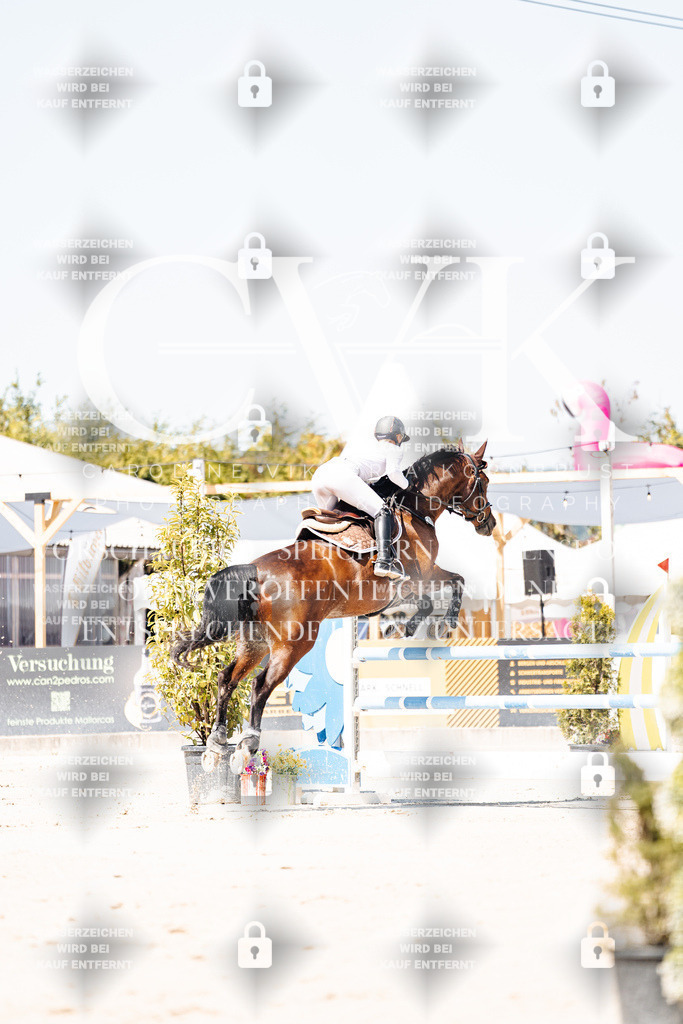CK909496 | Turnierfotografie Pferdefotografie Trier Rheinland-Pfalz Pferdesport Reitsport Tierfotografie Sportfotografie Pferdevideo Pferdevideografie Equestrianvideography equestrianphotography  - Realisiert mit Pictrs.com