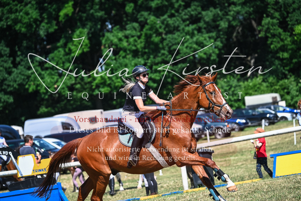 DSC_1268 | Pferde- und Turnierfotografie in Westsachsen. Pferdeportraits, Auftragszeichnungen und intuitive Kunst.