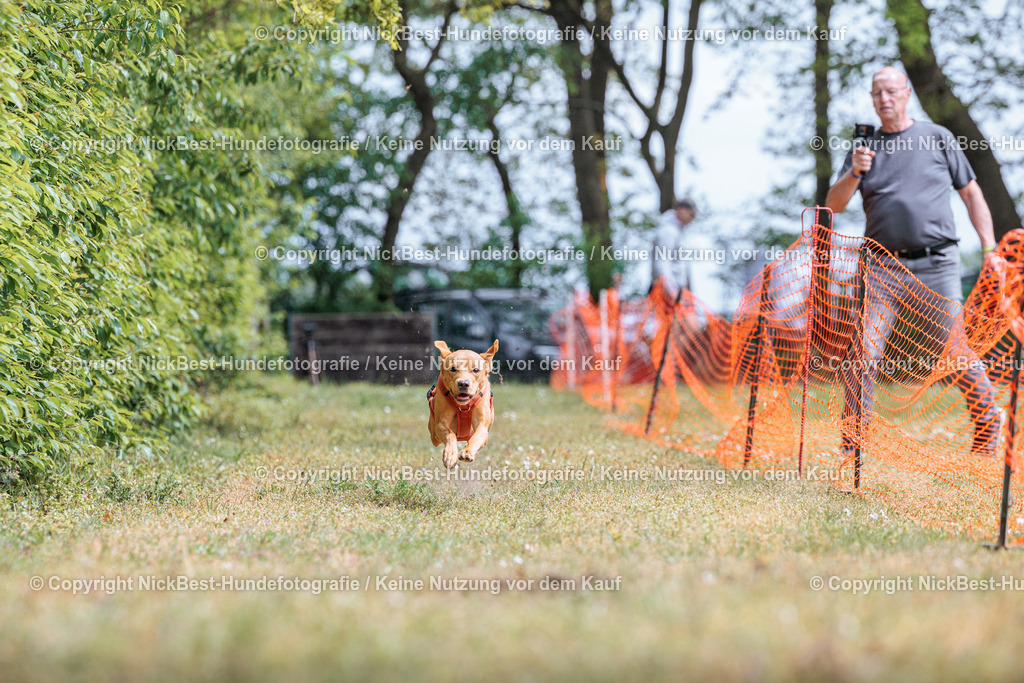 Sage Hunderennen Frühlingsfest-2026-Nickbest-Hundefotografie-0388 | Dein Hund! Dein Moment! Deine Erinnerungen! Hundefotografie in Bremen Blumenthal. Ich fange die besonderen Momente deines Vierbeiners ein – ob Indoor mit Blitzanlage oder in der freien Natur. Sicher dir dein Moment und dein Termin für eure Erinnerungen.