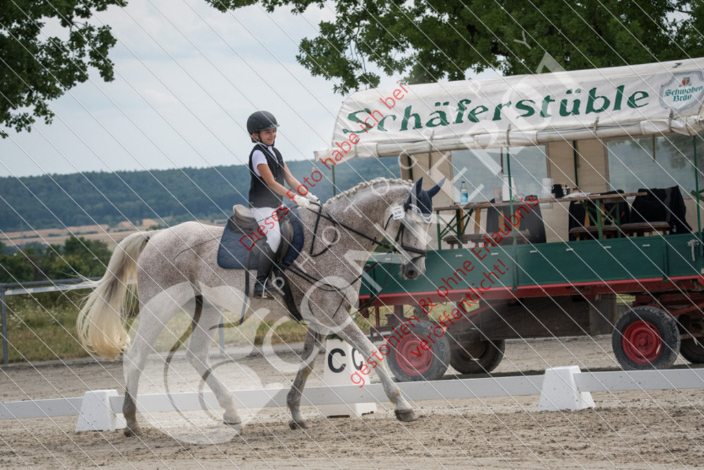 ND5_7992 | Sport-, Event- und Tierfotos in Profiqualität. Einfach auswählen, bestellen und herunterladen. Dein Moment – perfekt festgehalten.