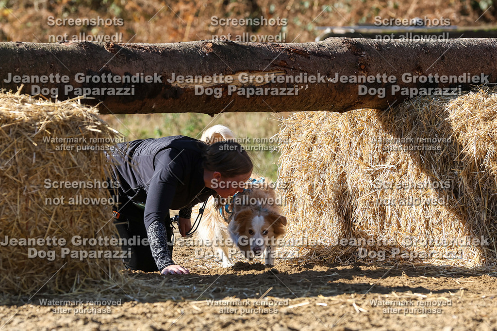 Dog Paparazzi - Strongdog 10-25-4690 | Dog Paparazzi Jeanette Grottendiek Fotografie & Videografie - Realisiert mit Pictrs.com