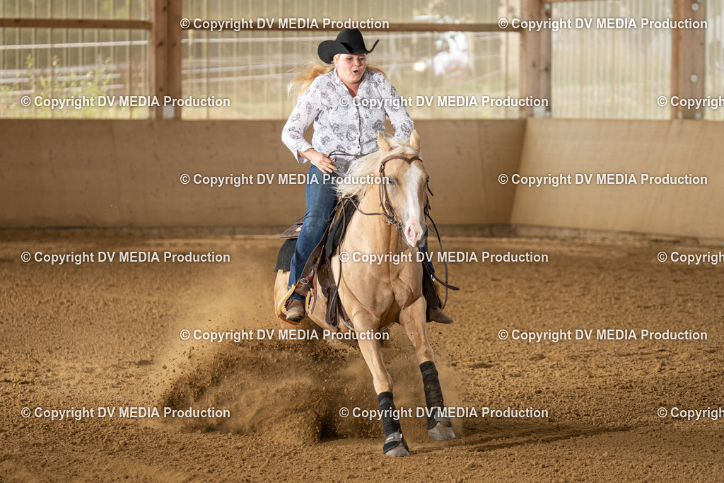 LAU01734 | dv-media-shop - Realisiert mit Pictrs.com