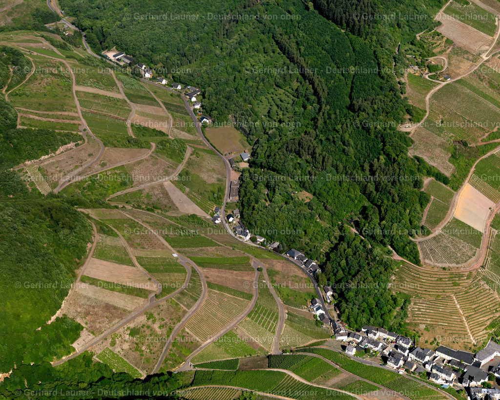 Merl_ Zell_ Mosel-3114395 | Merl, Zell, Mosel