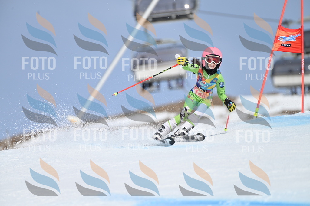 BGV_0233 | holidayphoto