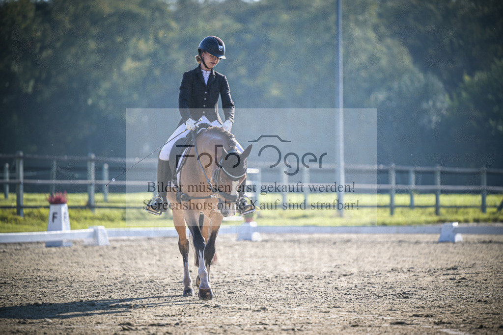 DOS_1459 | Entdecke hochwertige Reitturnierfotos von Foto Oger. Professionell, emotional und authentisch – jetzt Lieblingsmomente im Shop bestellen.Deutschlandweite Turnierfotografie. - Realisiert mit Pictrs.com