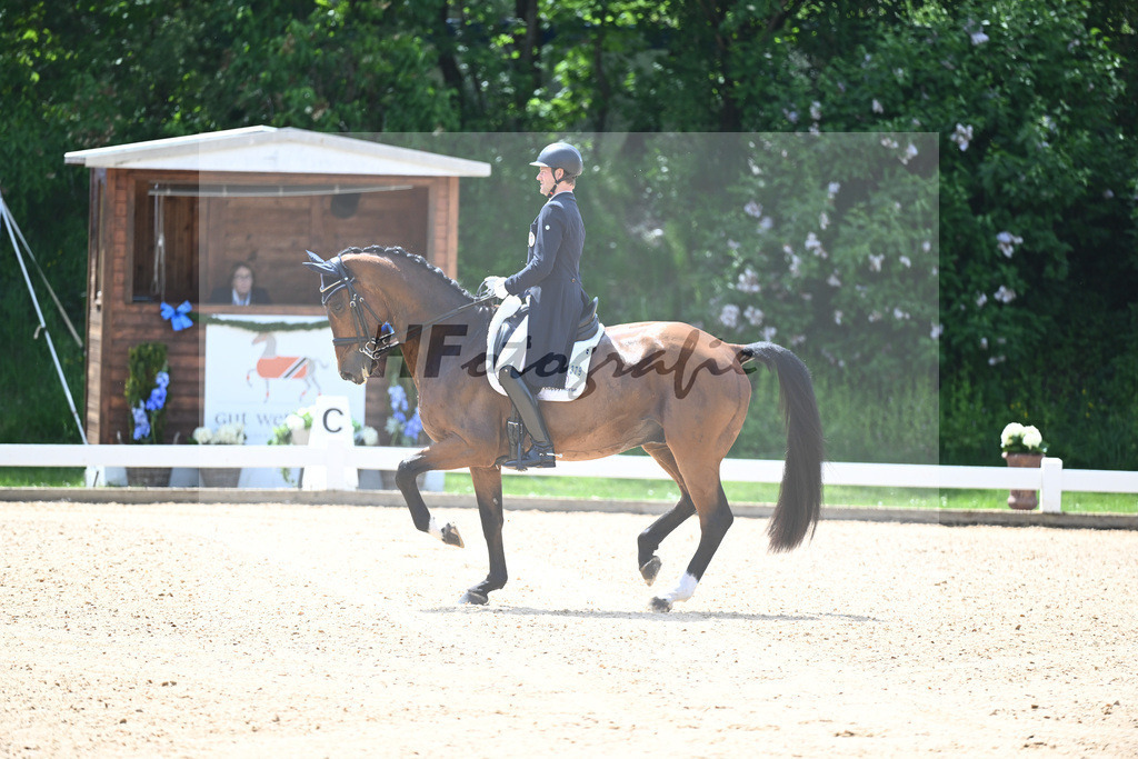 Bacher_Amonitas_12244027 | hf-fotografie - Realisiert mit Pictrs.com