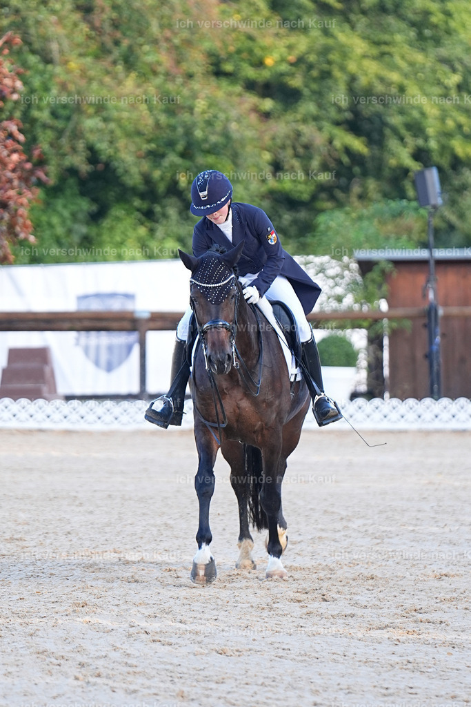 09_1-056-DRESSUR  S_  -Marixx-5641 | working equitationturnier fotograf videograf stoibphotography marixx film working equitation deutschland reitsport turnierfotografie eventfotografie equestrian events