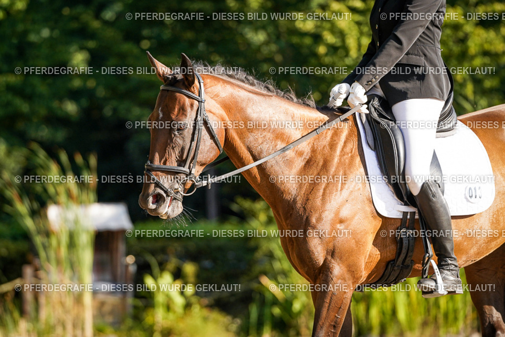 DSC08461 | Pferdegrafie