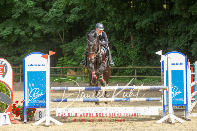 DKP45162 | Turniersportfotografie; Pferdefotografie; Dressurfotografie