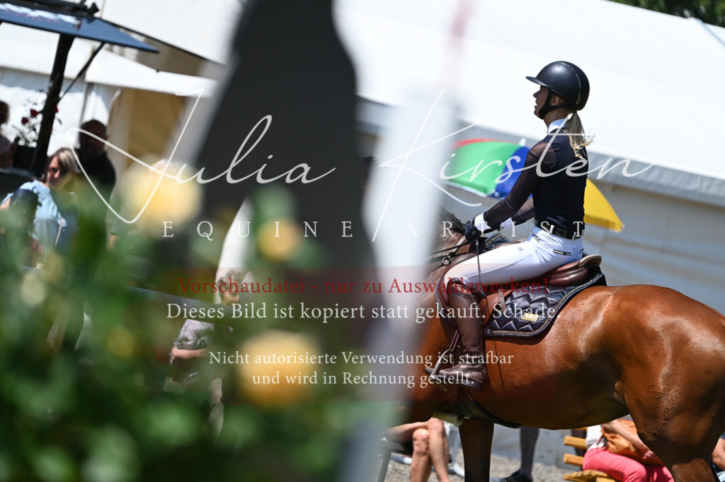 DSC_0172 | Pferde- und Turnierfotografie in Westsachsen. Pferdeportraits, Auftragszeichnungen und intuitive Kunst.