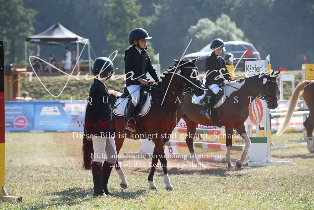 DSC_6136 | Pferde- und Turnierfotografie in Westsachsen. Pferdeportraits, Auftragszeichnungen und intuitive Kunst.