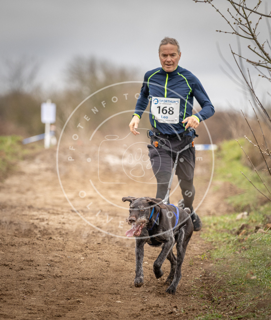 DV3A1891 | Hundefotografie, Tierfotograf, Pfotenfotografie, Fotoshooting Hund, Hunde Portrait, Hundesport, Hundeportraits, Heideshooting, Hunde, Sportfotograf, Hundefotograf, Turnierhundsport, THS,  - Realisiert mit Pictrs.com