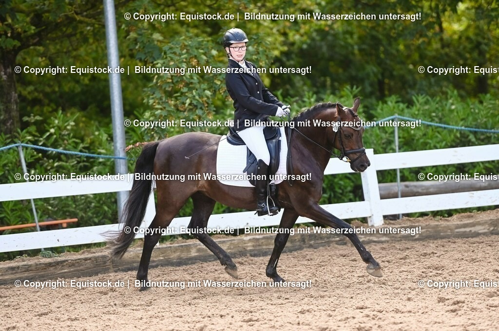 20230716_04_Dressurreiterprüfung Kl.A_0478 | equistock