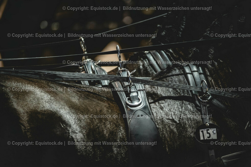 20240203_FEI-Driving-World-Cup_0017 | Foto: Thomas Hartig