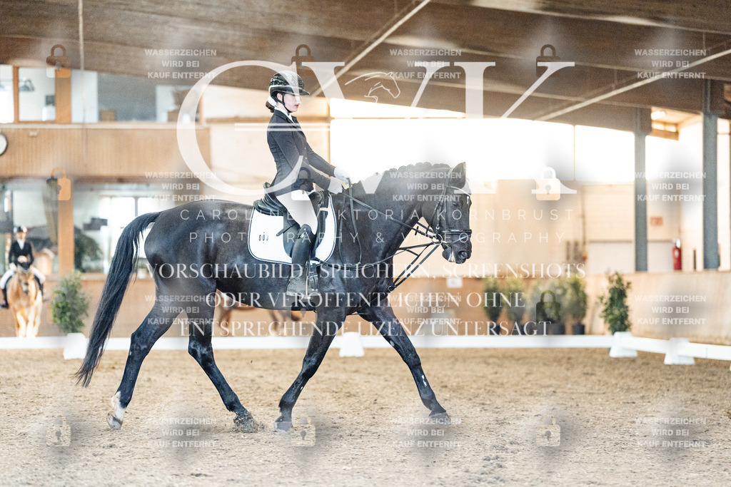 CK906945 | Turnierfotografie Pferdefotografie Trier Rheinland-Pfalz Pferdesport Reitsport Tierfotografie Sportfotografie Pferdevideo Pferdevideografie Equestrianvideography equestrianphotography  - Realisiert mit Pictrs.com