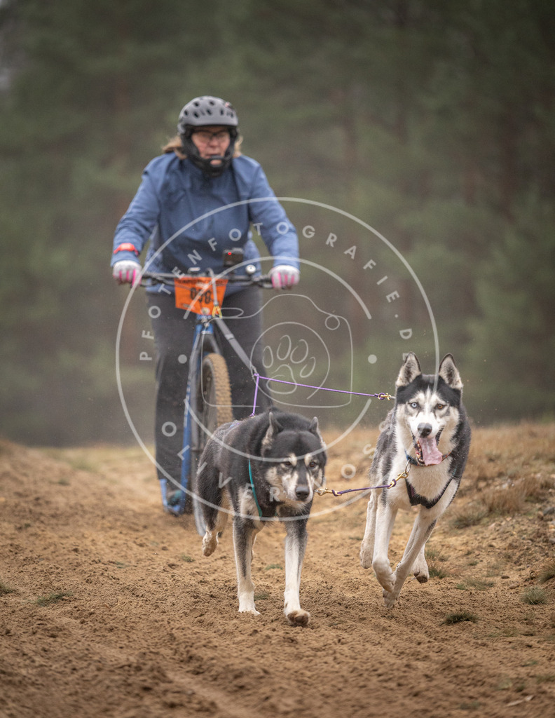 Pfotenfotografie_DV3A1218 | Hundefotografie, Tierfotograf, Pfotenfotografie, Fotoshooting Hund, Hunde Portrait, Hundesport, Hundeportraits, Heideshooting, Hunde, Sportfotograf, Hundefotograf, Turnierhundsport, THS,  - Realisiert mit Pictrs.com