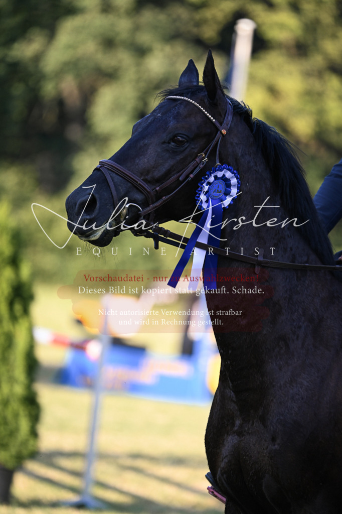 DSC_1876 | Pferde- und Turnierfotografie in Westsachsen. Pferdeportraits, Auftragszeichnungen und intuitive Kunst.